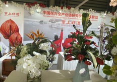 Anthurium and Phalaenopsis